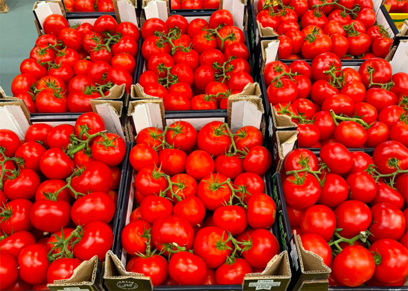 Pomodoro grappolo - Sicilia - 0,80/1,00 euro al chilogrammo
